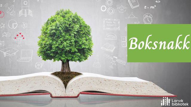 Påfyll: BokSnakk