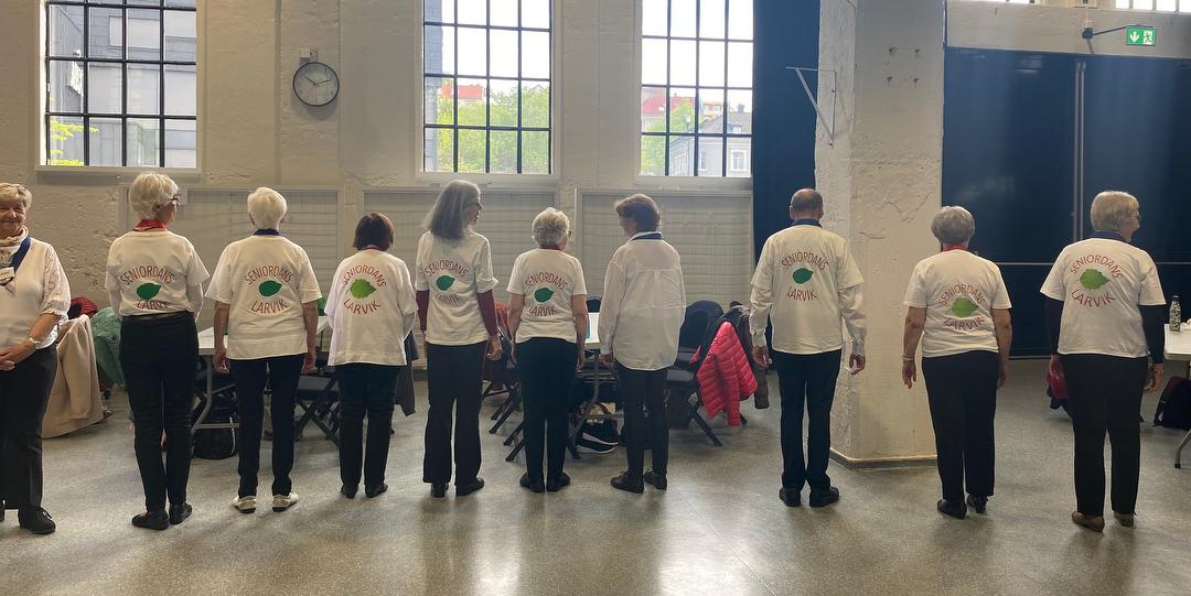 Bilde/illustrasjon om Seniordans Larvik