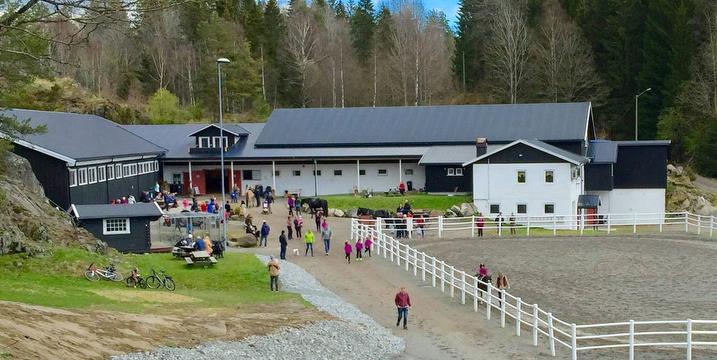 Bilde/illustrasjon for Åpen gård på Damgården Åpen gård på Damgården